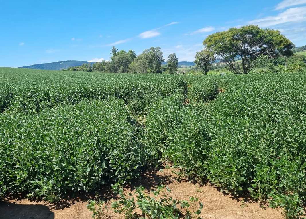 Chácara à venda com 4 quartos, 1452000m² - Foto 10