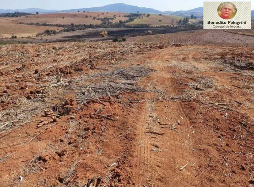 Chácara à venda com 4 quartos, 1452000m² - Foto 20