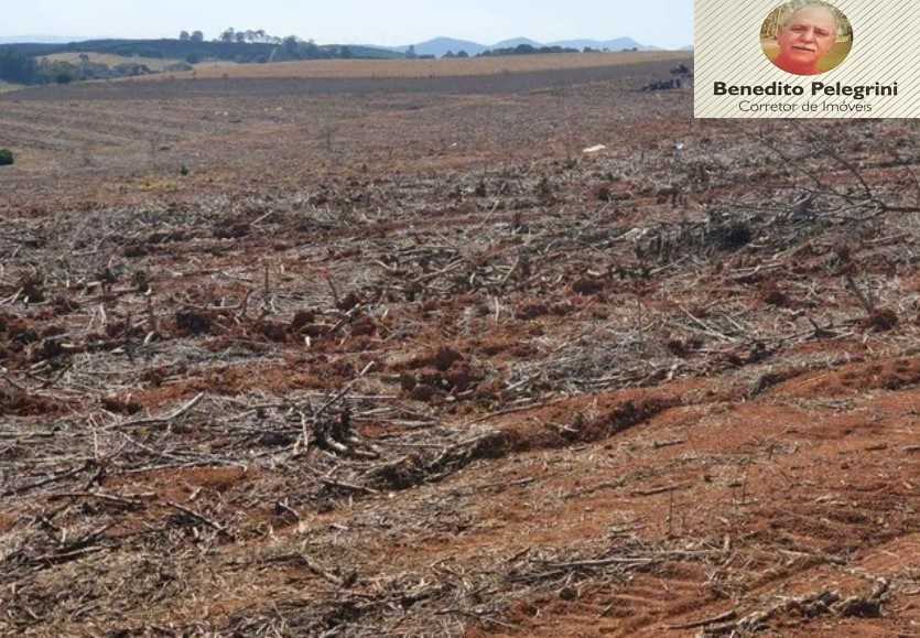 Chácara à venda com 4 quartos, 1452000m² - Foto 15