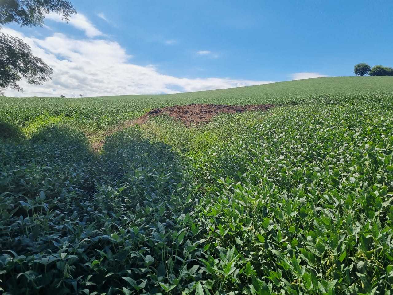 Chácara, 4 quartos, 145 hectares - Foto 3