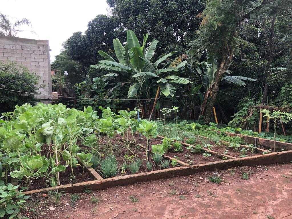 Terreno à venda, 2000m² - Foto 17