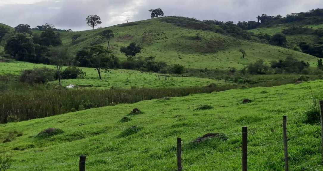 Chácara à venda com 2 quartos, 4000000m² - Foto 9