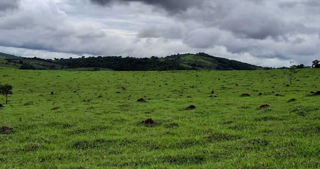 Chácara à venda com 2 quartos, 4000000m² - Foto 8