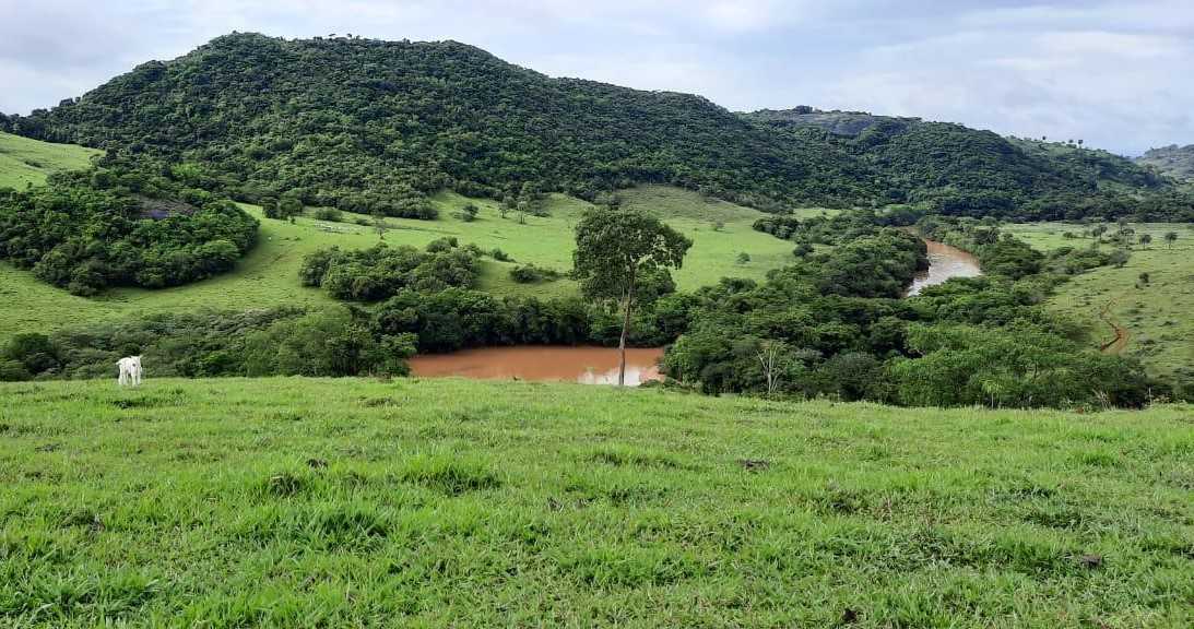 Chácara à venda com 2 quartos, 4000000m² - Foto 24