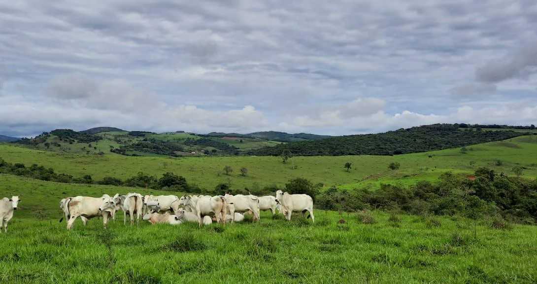 Chácara à venda com 2 quartos, 4000000m² - Foto 1