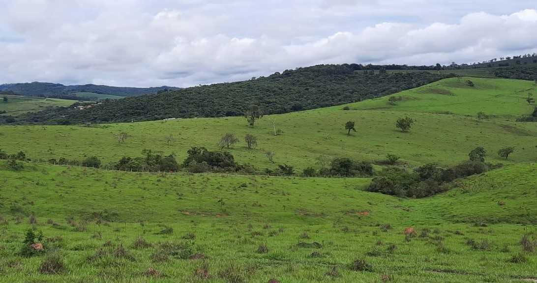 Chácara à venda com 2 quartos, 4000000m² - Foto 5