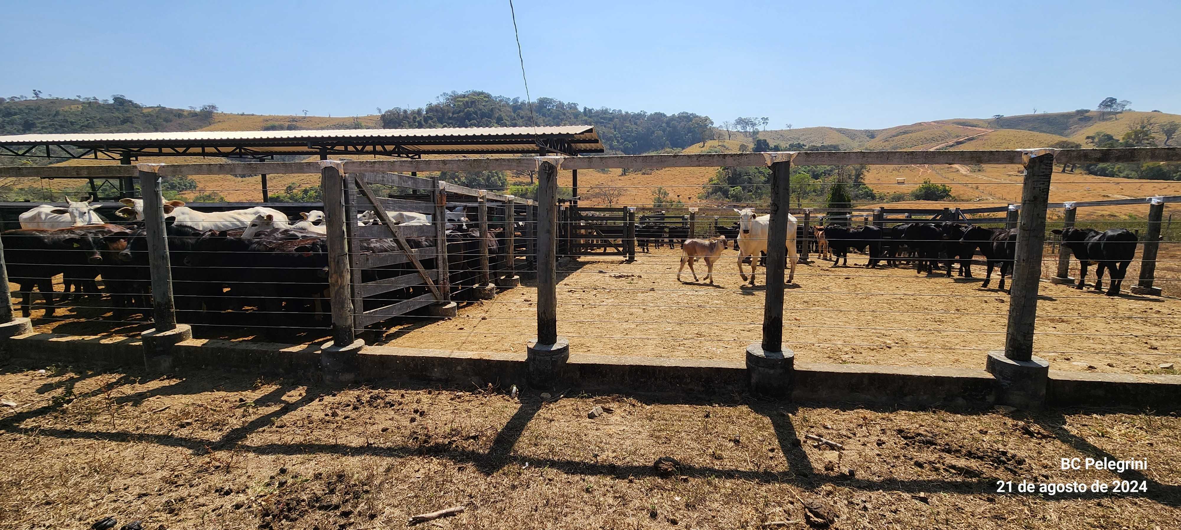 Chácara à venda com 2 quartos, 4000000m² - Foto 4