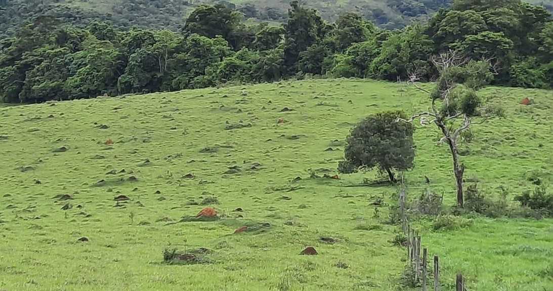 Chácara à venda com 2 quartos, 4000000m² - Foto 12