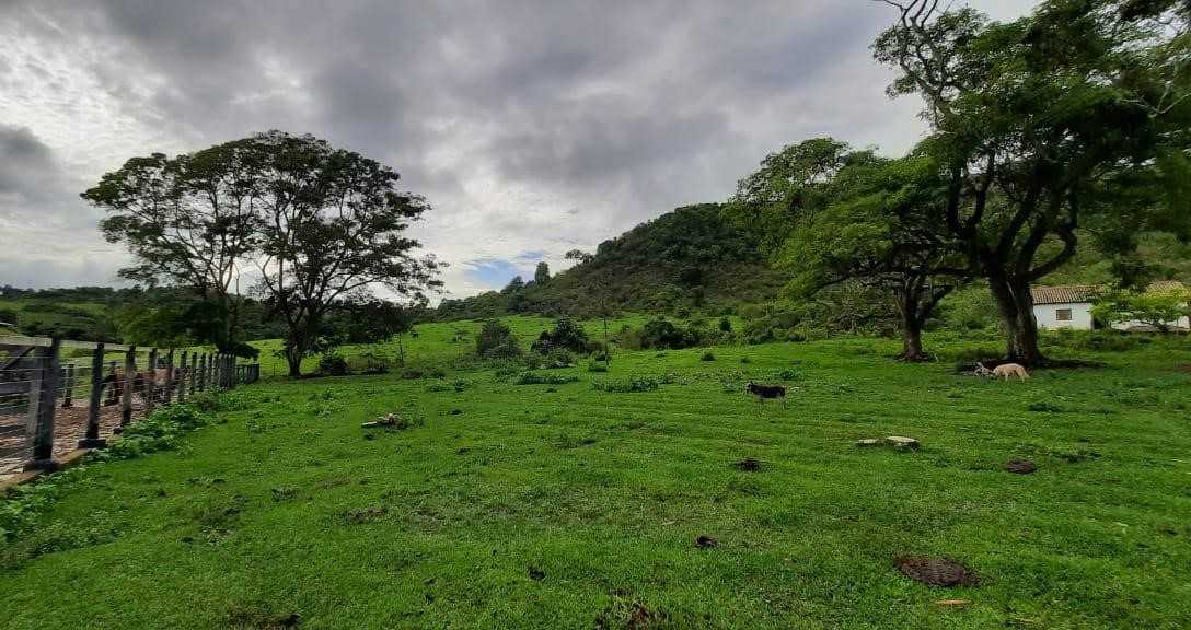 Chácara à venda com 2 quartos, 4000000m² - Foto 13