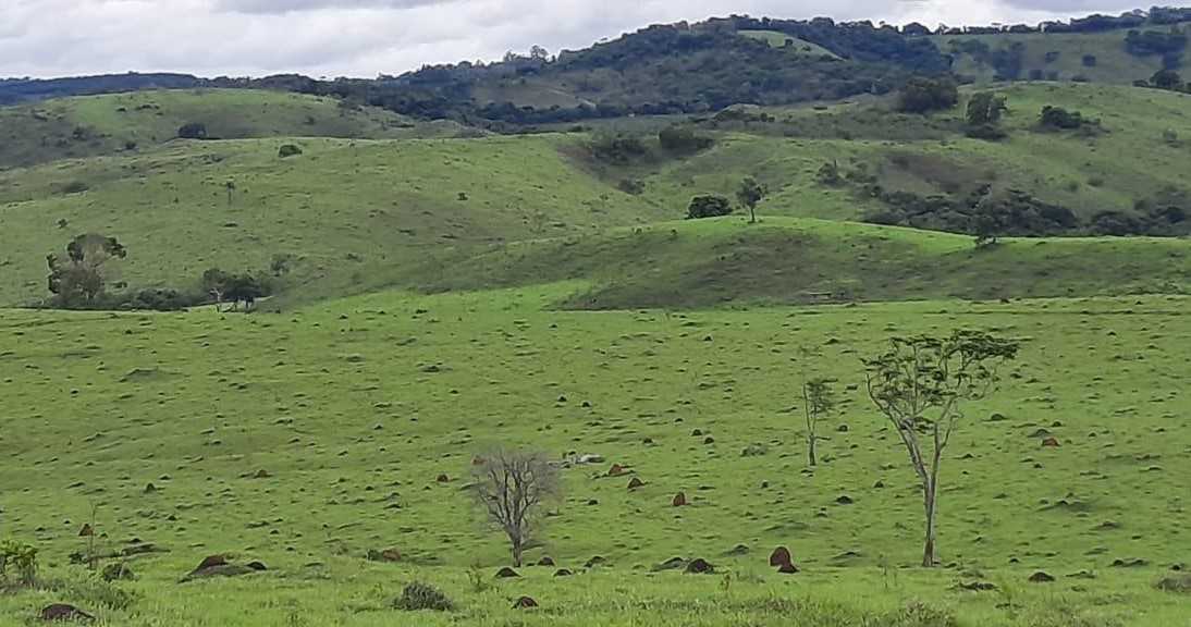 Chácara à venda com 2 quartos, 4000000m² - Foto 20