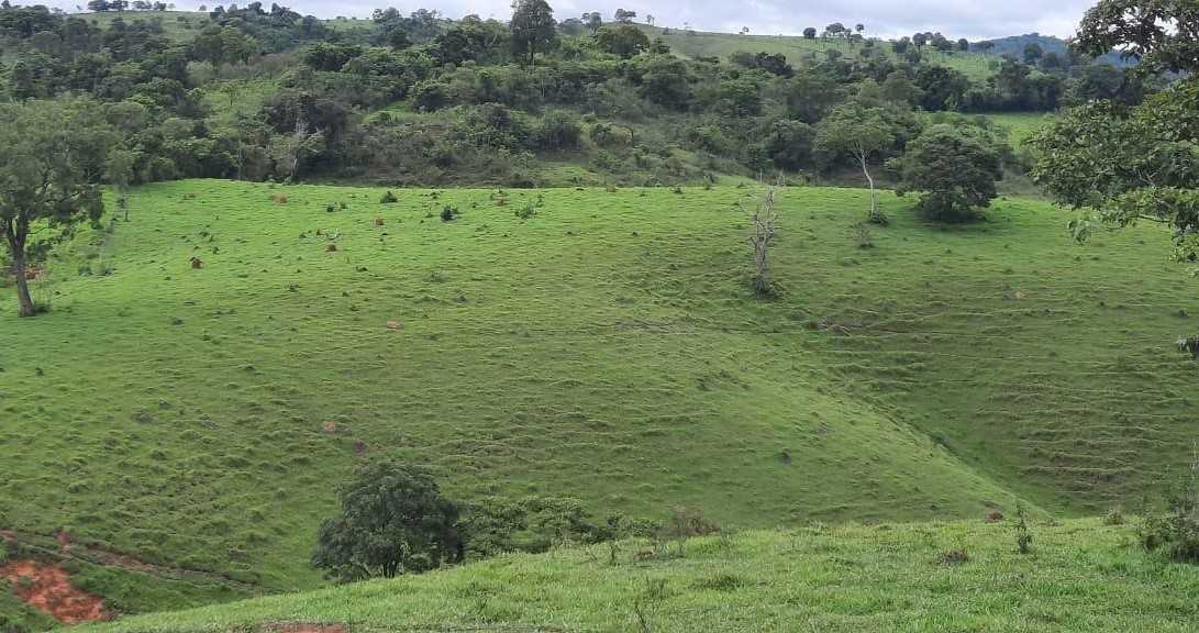 Chácara à venda com 2 quartos, 4000000m² - Foto 11