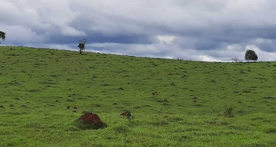 Chácara à venda com 2 quartos, 4000000m² - Foto 6