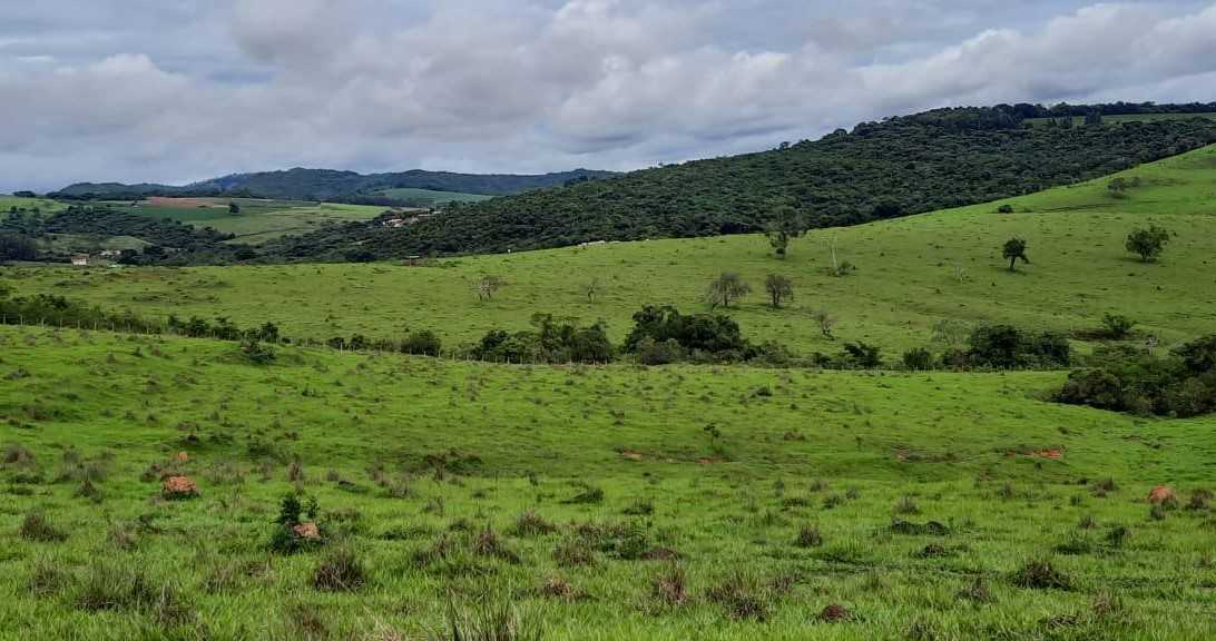 Chácara à venda com 2 quartos, 4000000m² - Foto 16