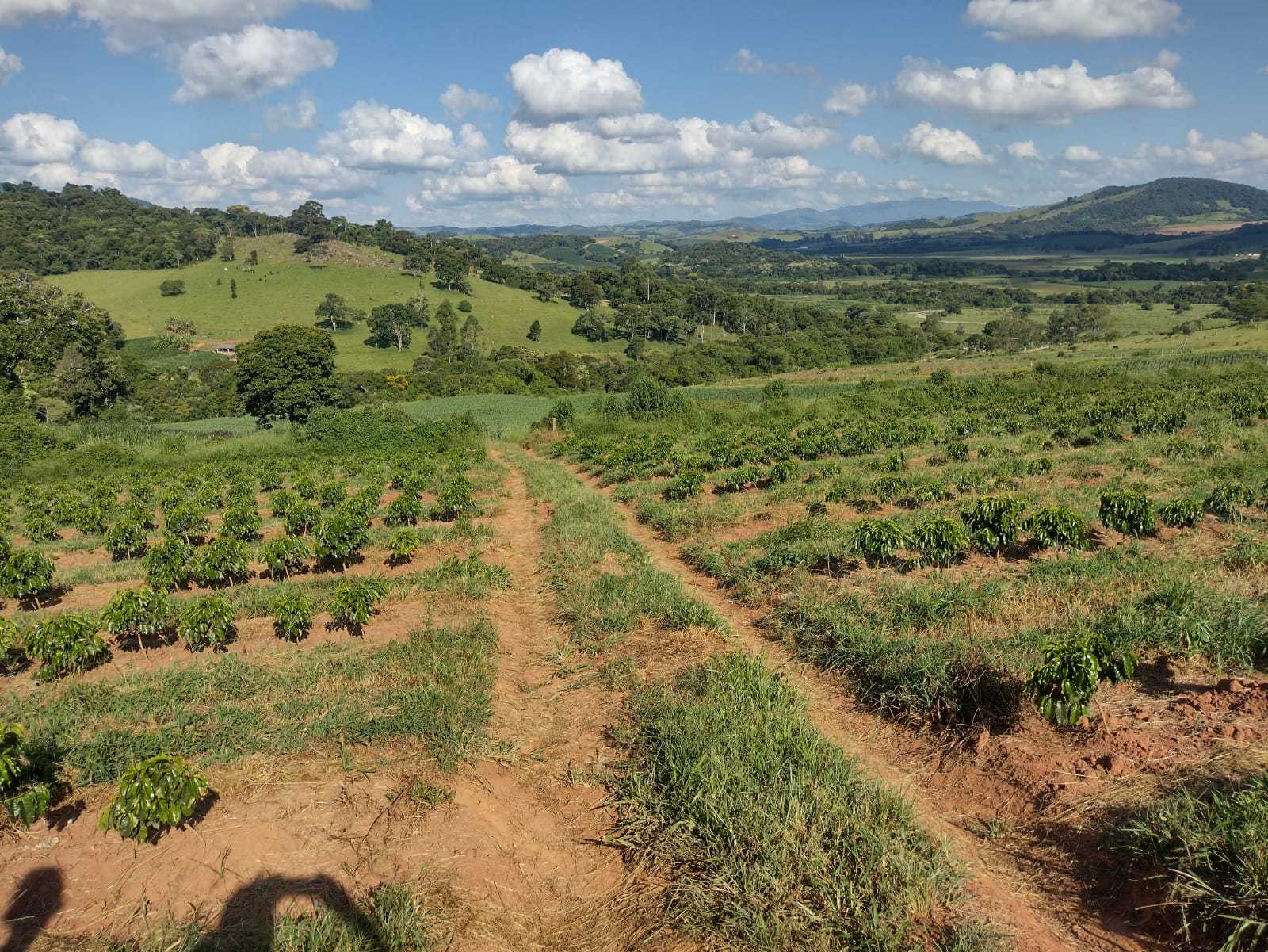 Chácara à venda com 2 quartos, 800000m² - Foto 7