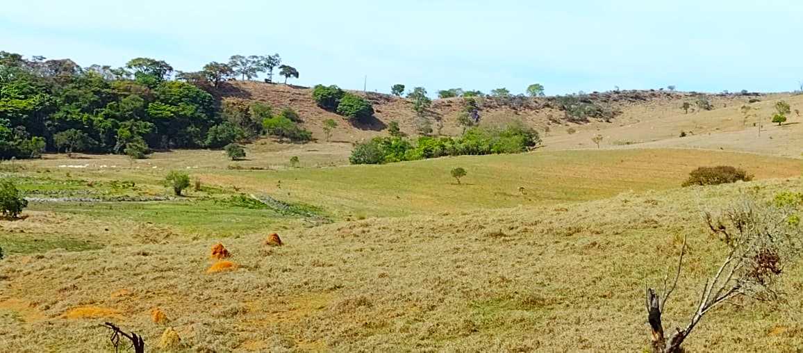 Chácara à venda com 2 quartos, 800000m² - Foto 2