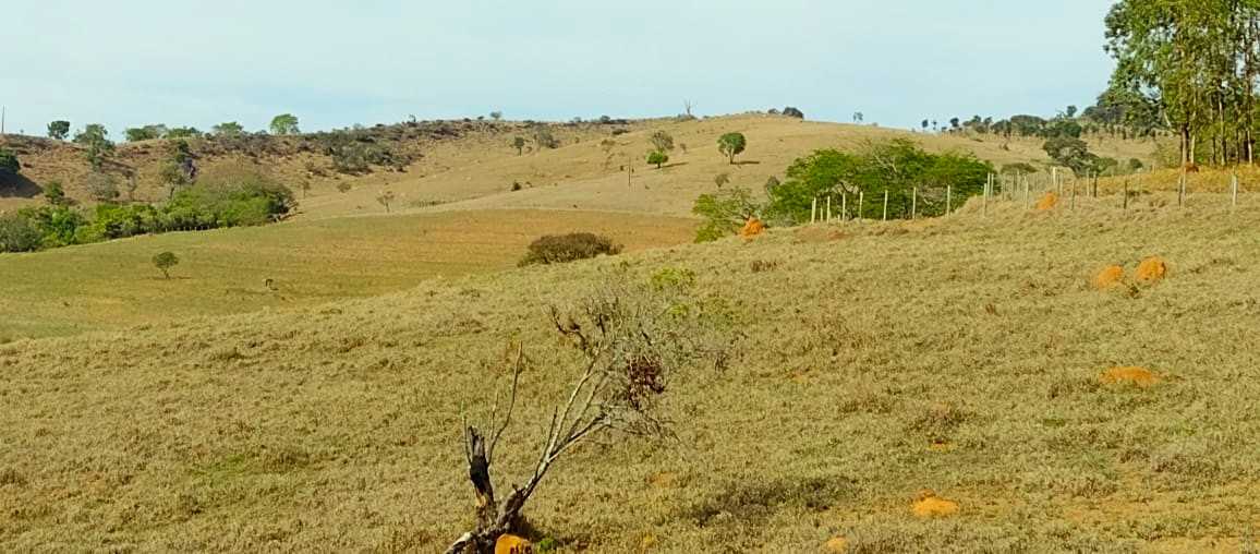 Chácara à venda com 2 quartos, 800000m² - Foto 4