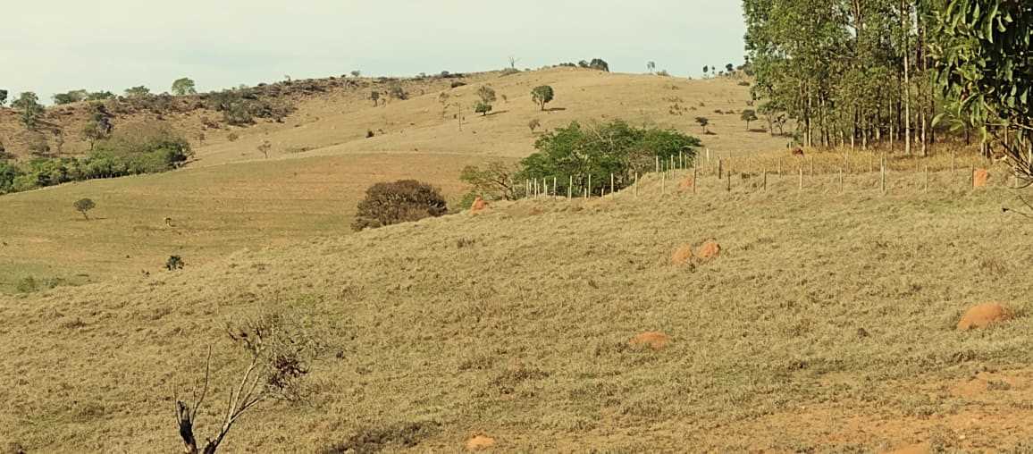 Chácara à venda com 2 quartos, 800000m² - Foto 6