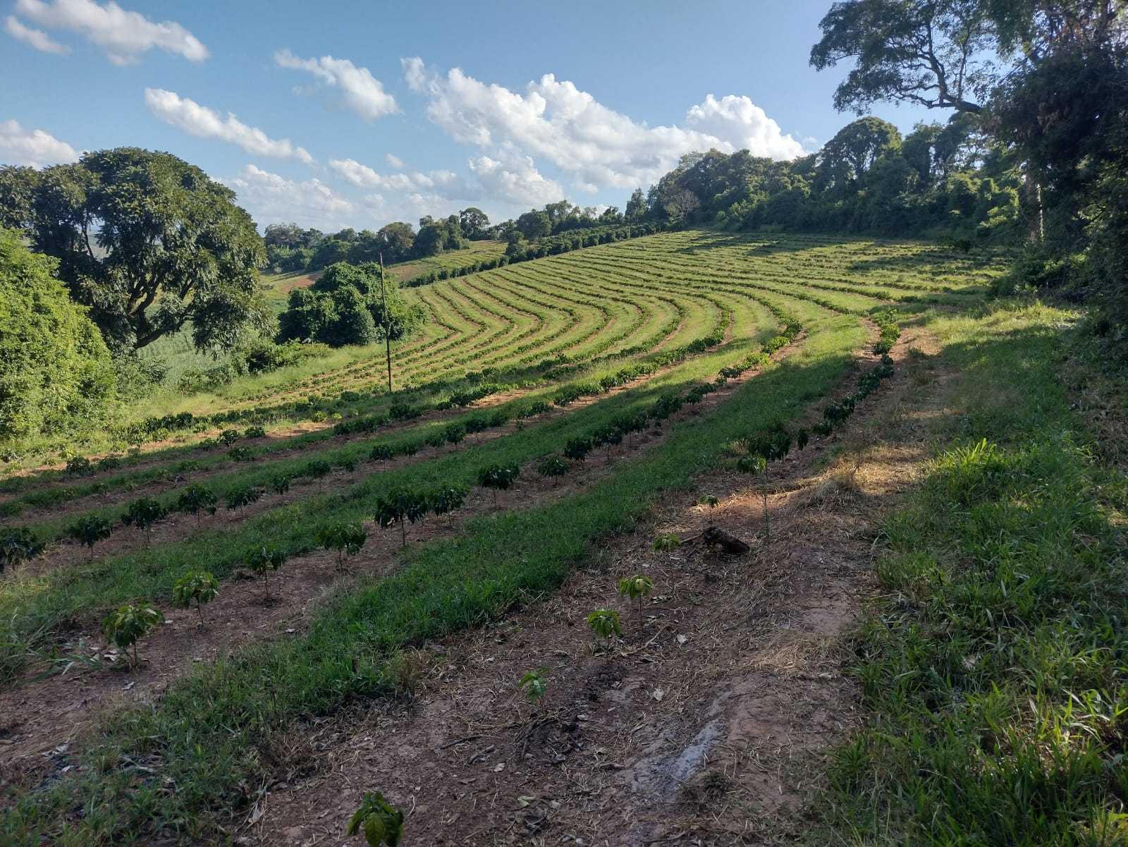 Chácara à venda com 2 quartos, 800000m² - Foto 1