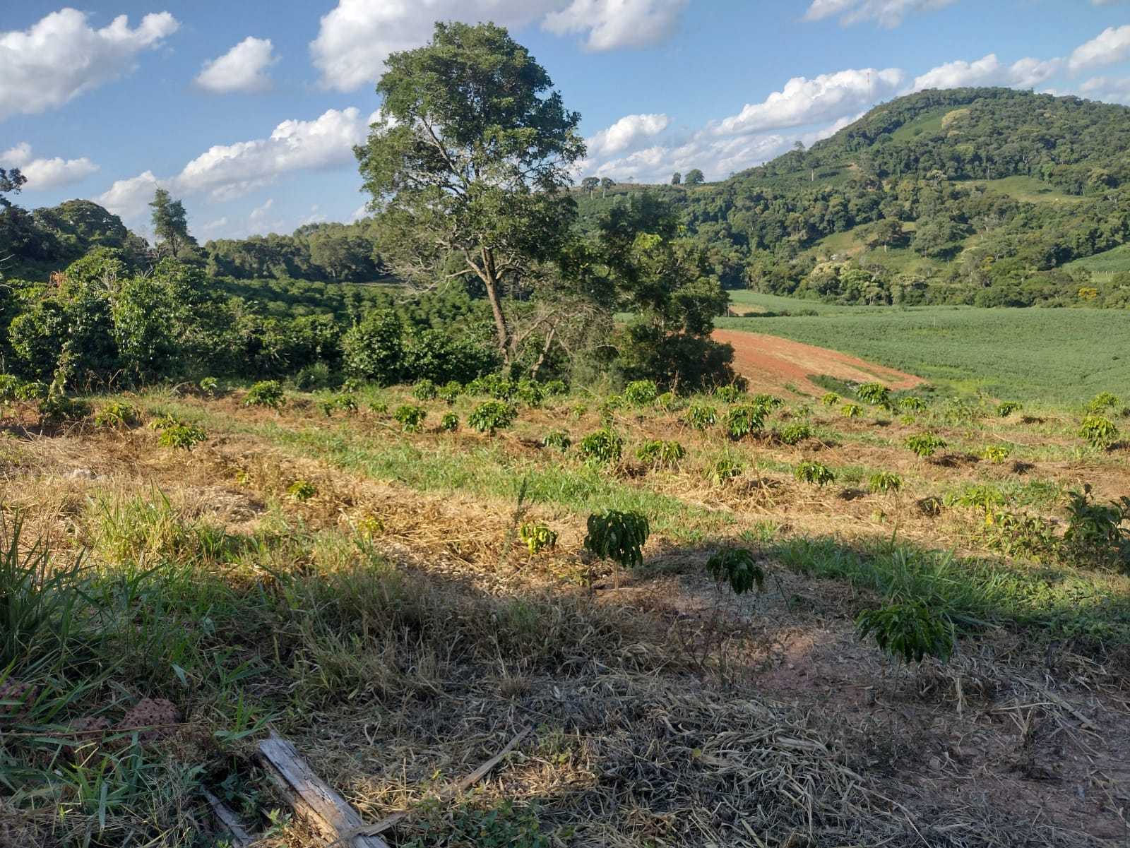 Chácara à venda com 2 quartos, 800000m² - Foto 3