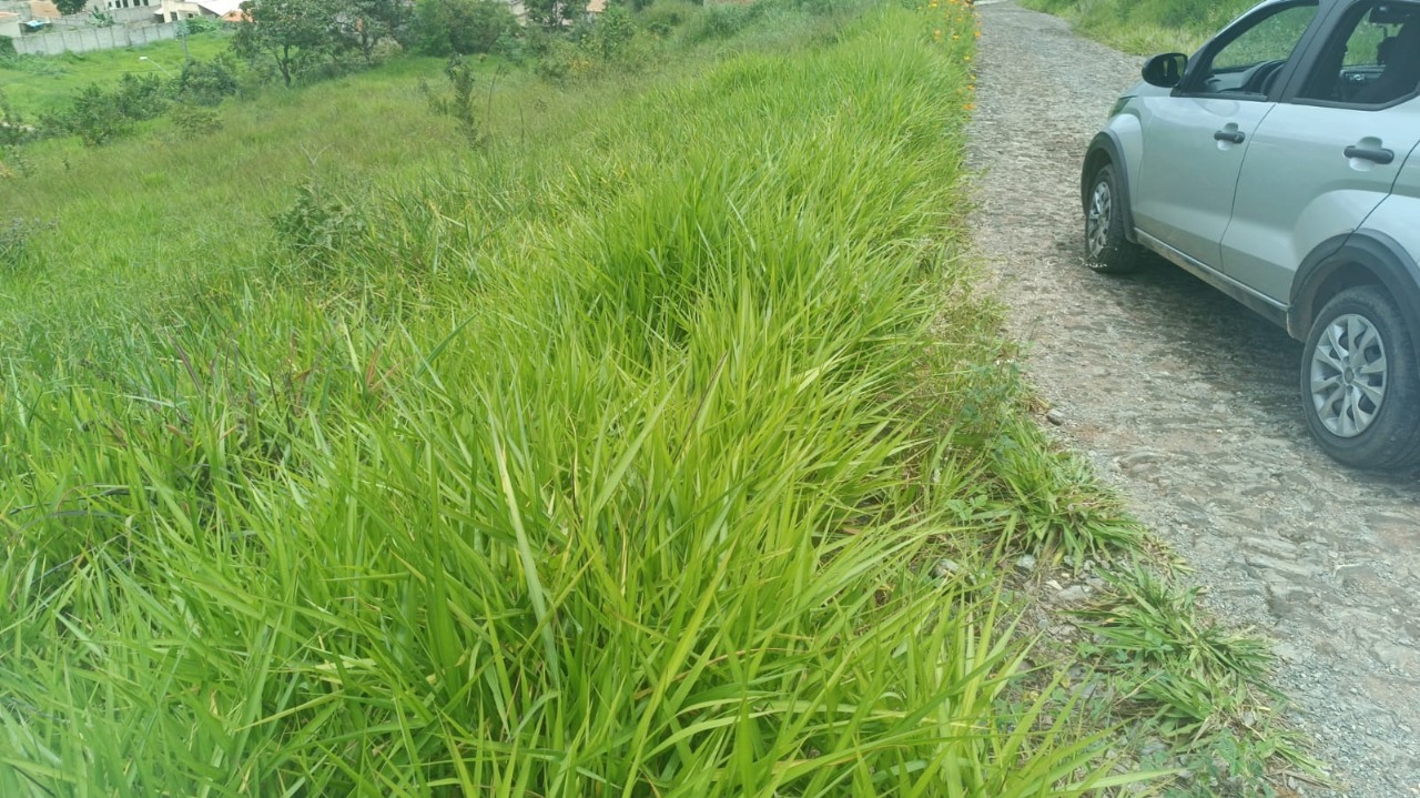 Terreno à venda, 500m² - Foto 2