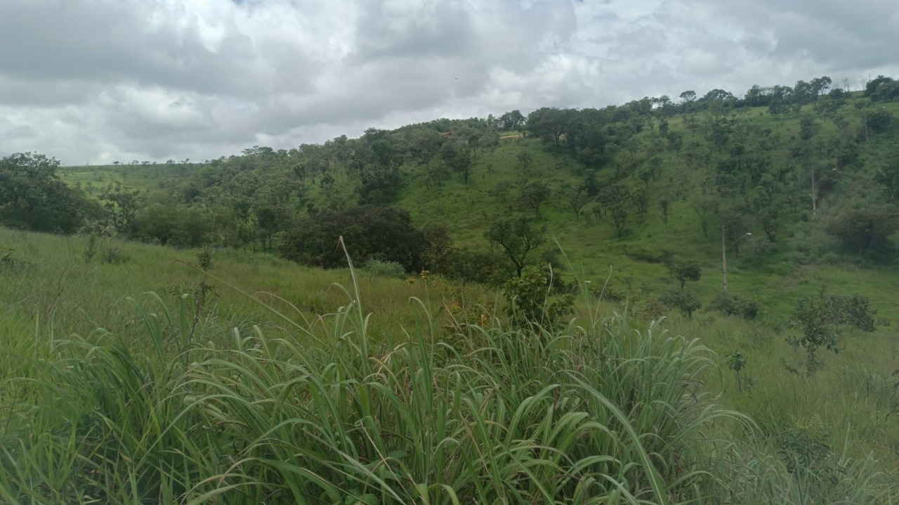 Terreno à venda, 500m² - Foto 4