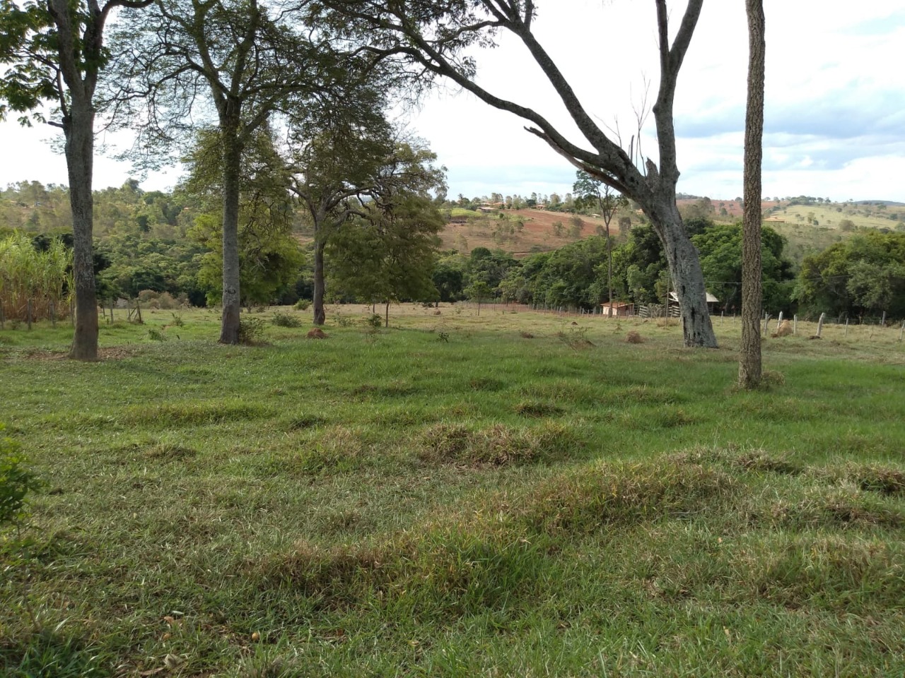 Chácara à venda com 3 quartos, 30000m² - Foto 5