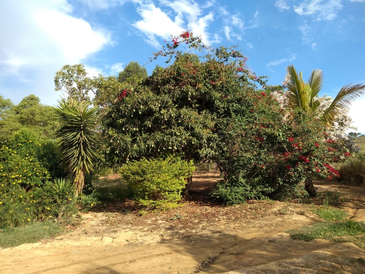 Chácara à venda com 3 quartos, 30000m² - Foto 8