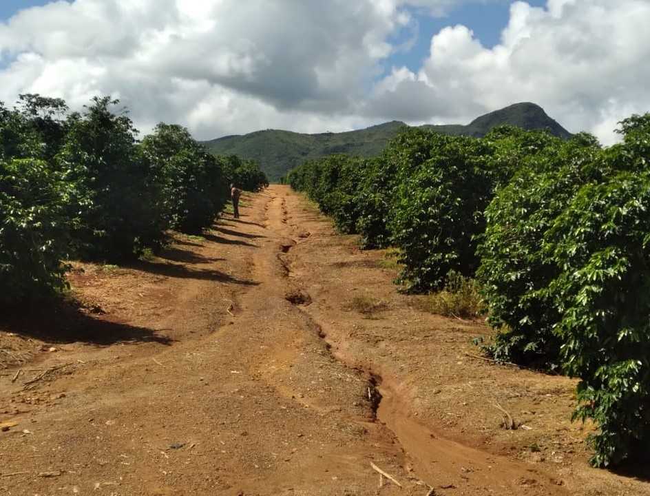 Chácara à venda com 1 quarto - Foto 5