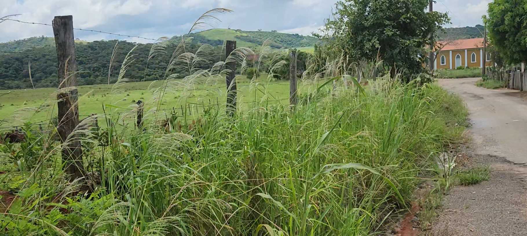 Terreno à venda, 300000m² - Foto 5