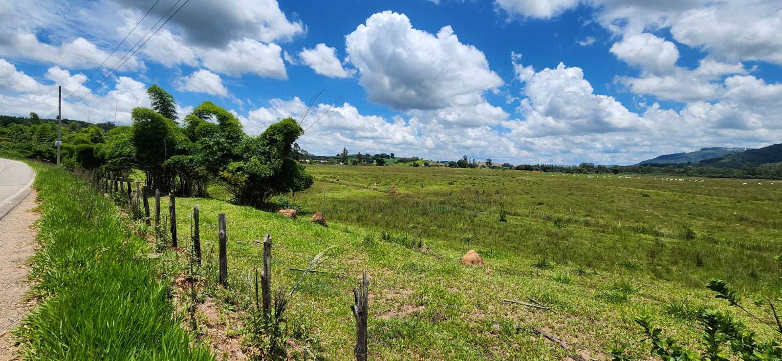 Terreno à venda, 300000m² - Foto 11