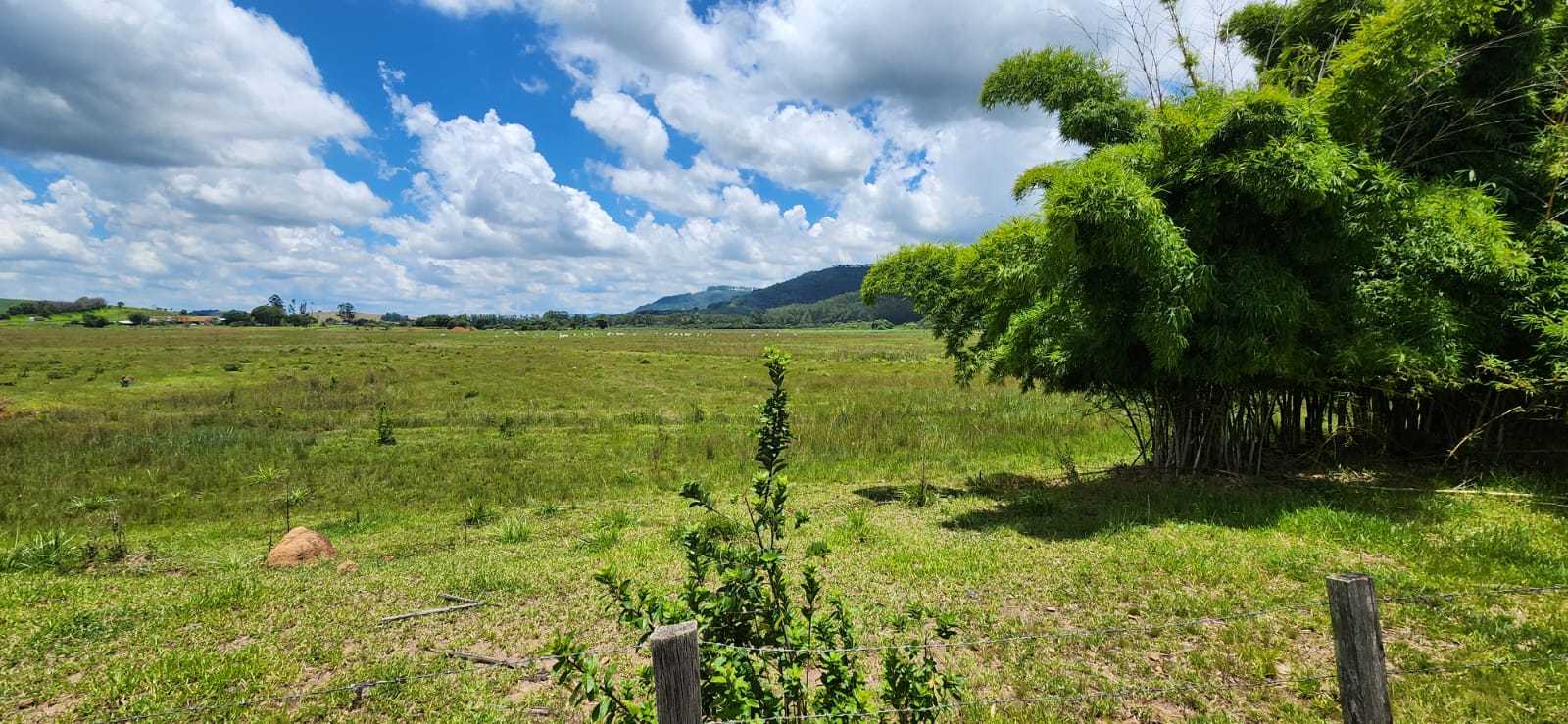 Terreno à venda, 300000m² - Foto 9