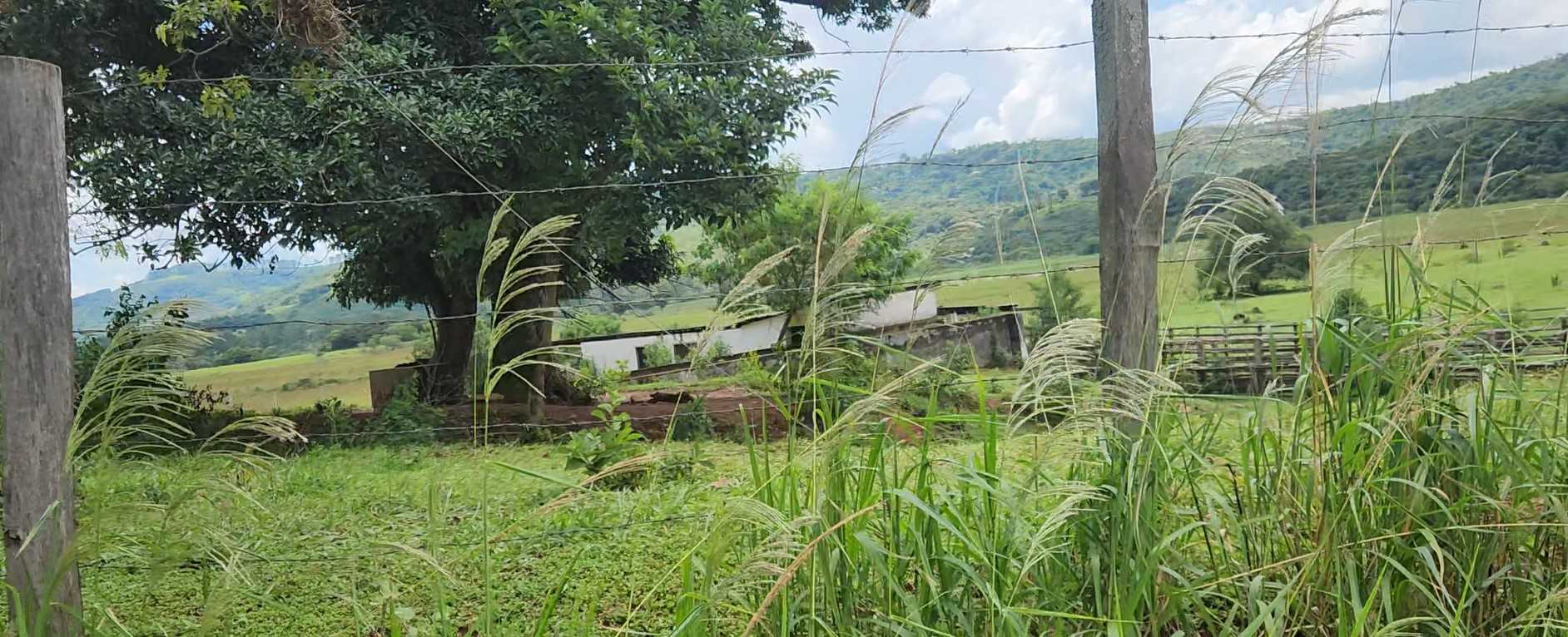 Terreno à venda, 300000m² - Foto 3