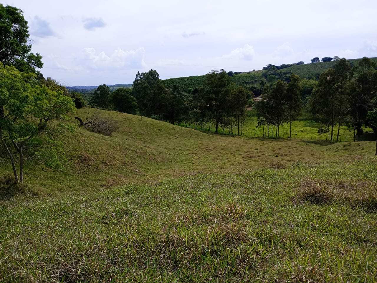 Chácara à venda com 1 quarto, 290400m² - Foto 21