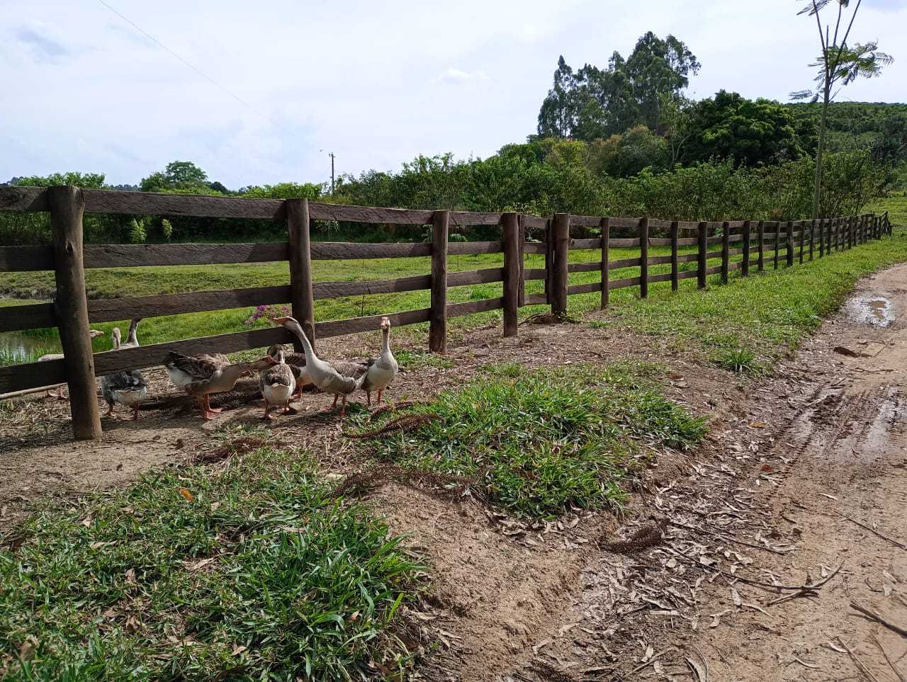 Chácara à venda com 1 quarto, 290400m² - Foto 13