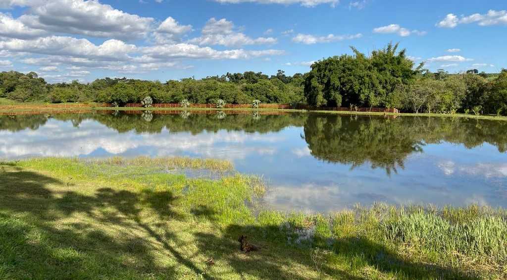 Chácara à venda com 1 quarto, 290400m² - Foto 3