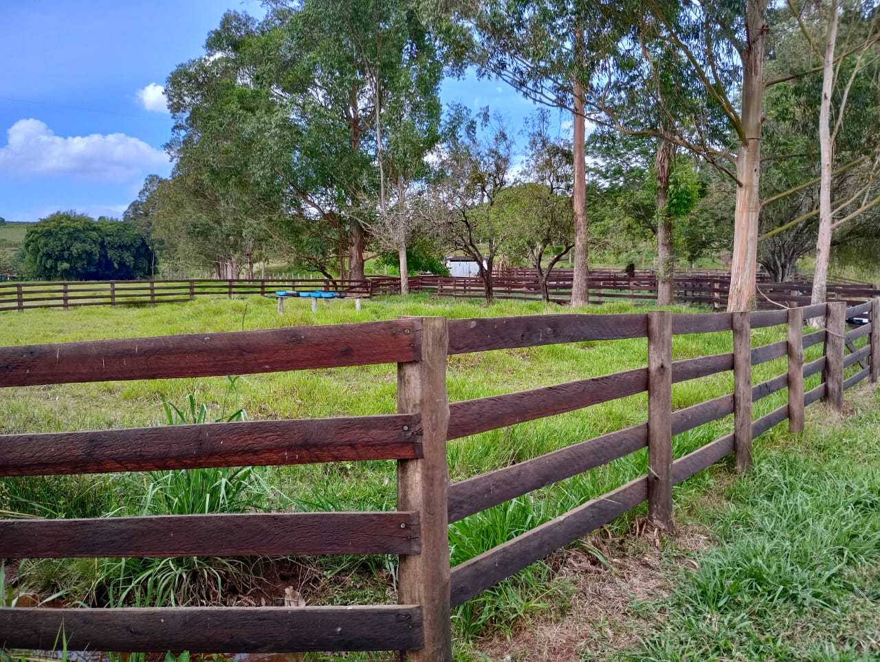 Chácara à venda com 1 quarto, 290400m² - Foto 5