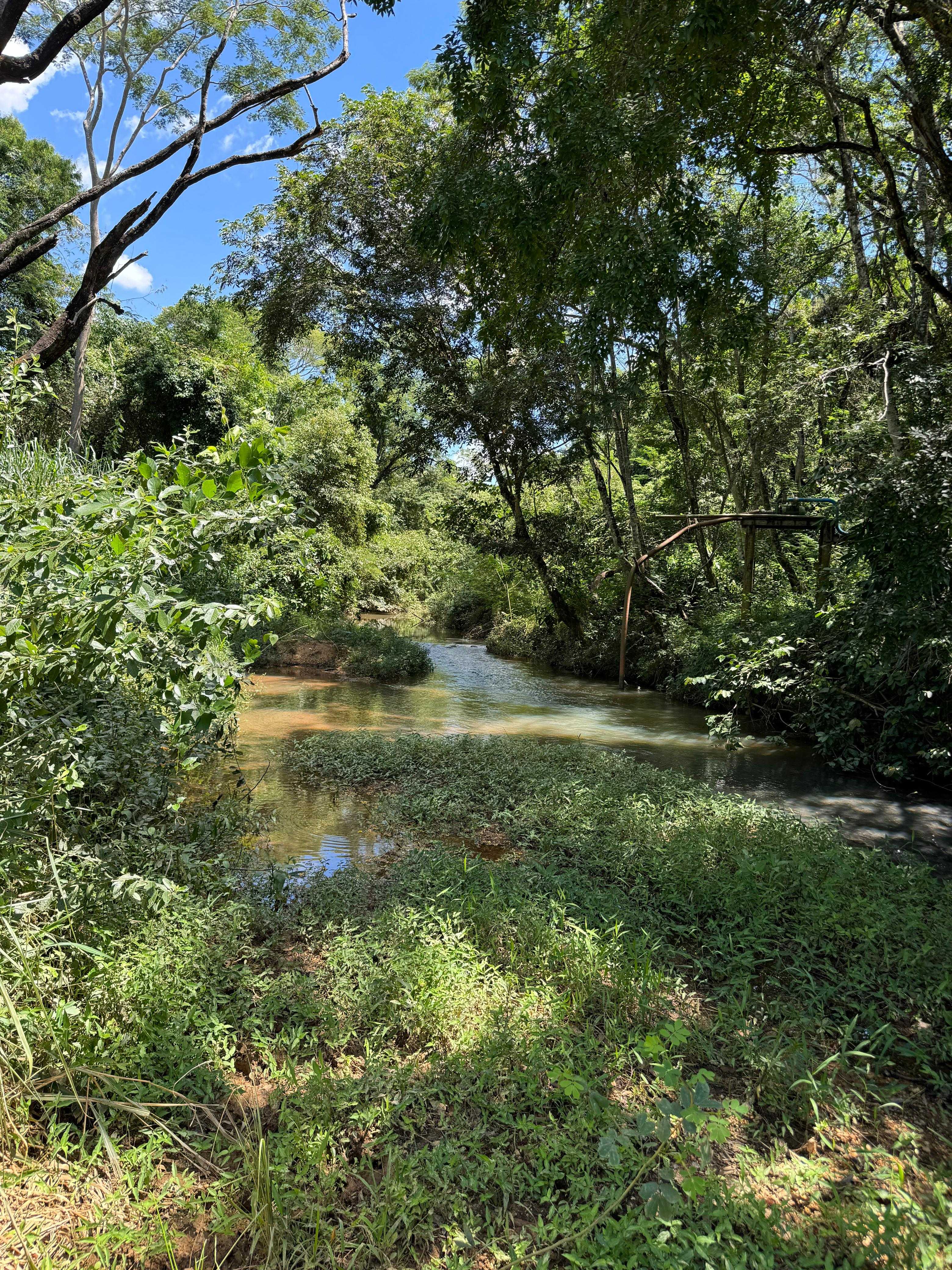 Chácara à venda com 6 quartos, 7120000m² - Foto 19