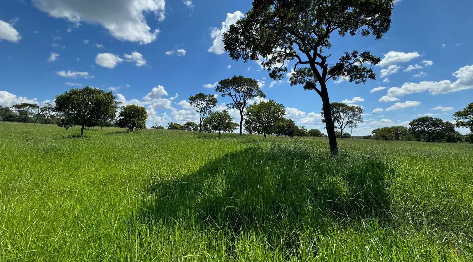 Chácara à venda com 6 quartos, 7120000m² - Foto 16