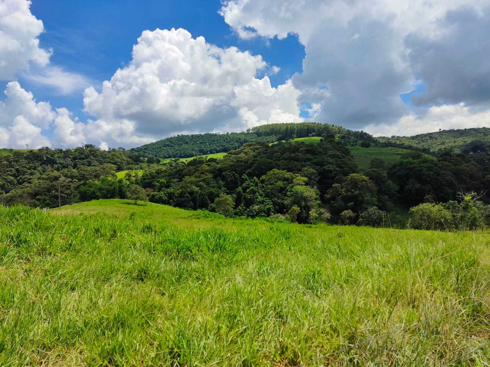 Chácara à venda com 1 quarto, 100000m² - Foto 4