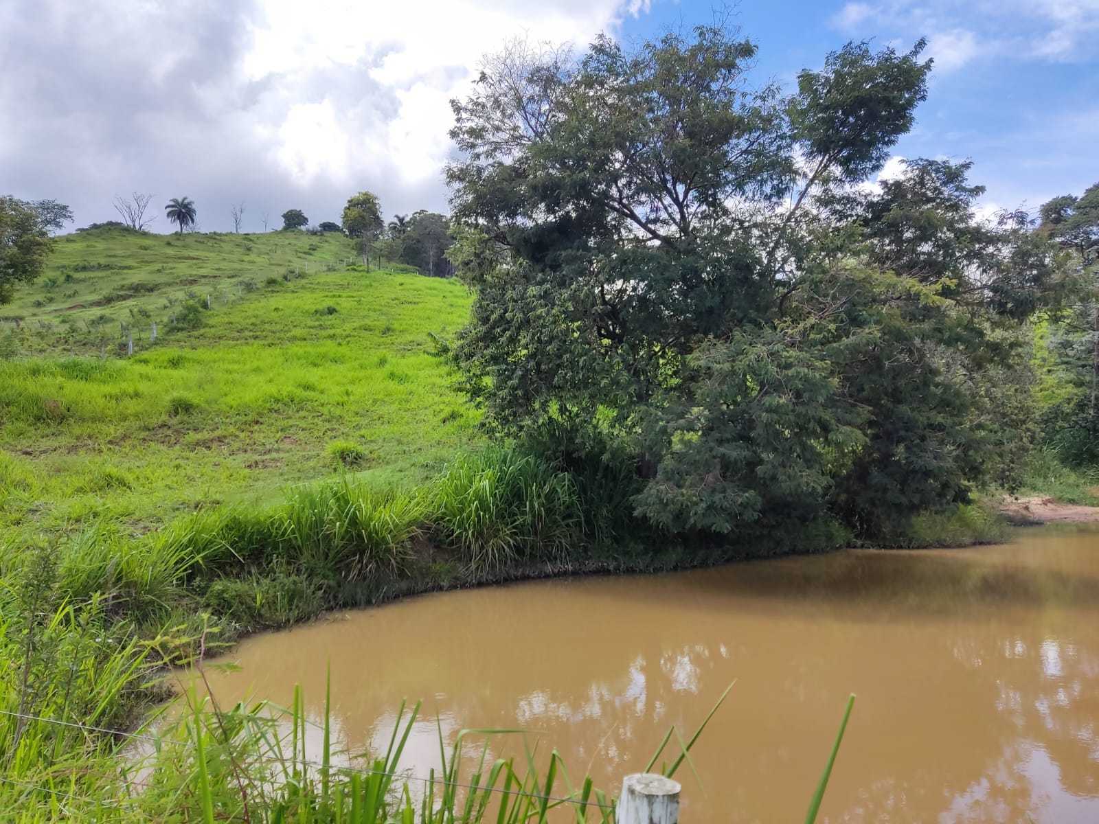 Chácara à venda com 1 quarto, 100000m² - Foto 9