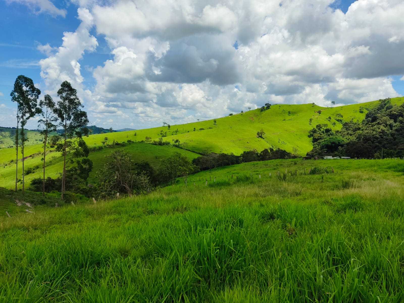 Chácara à venda com 1 quarto, 100000m² - Foto 5