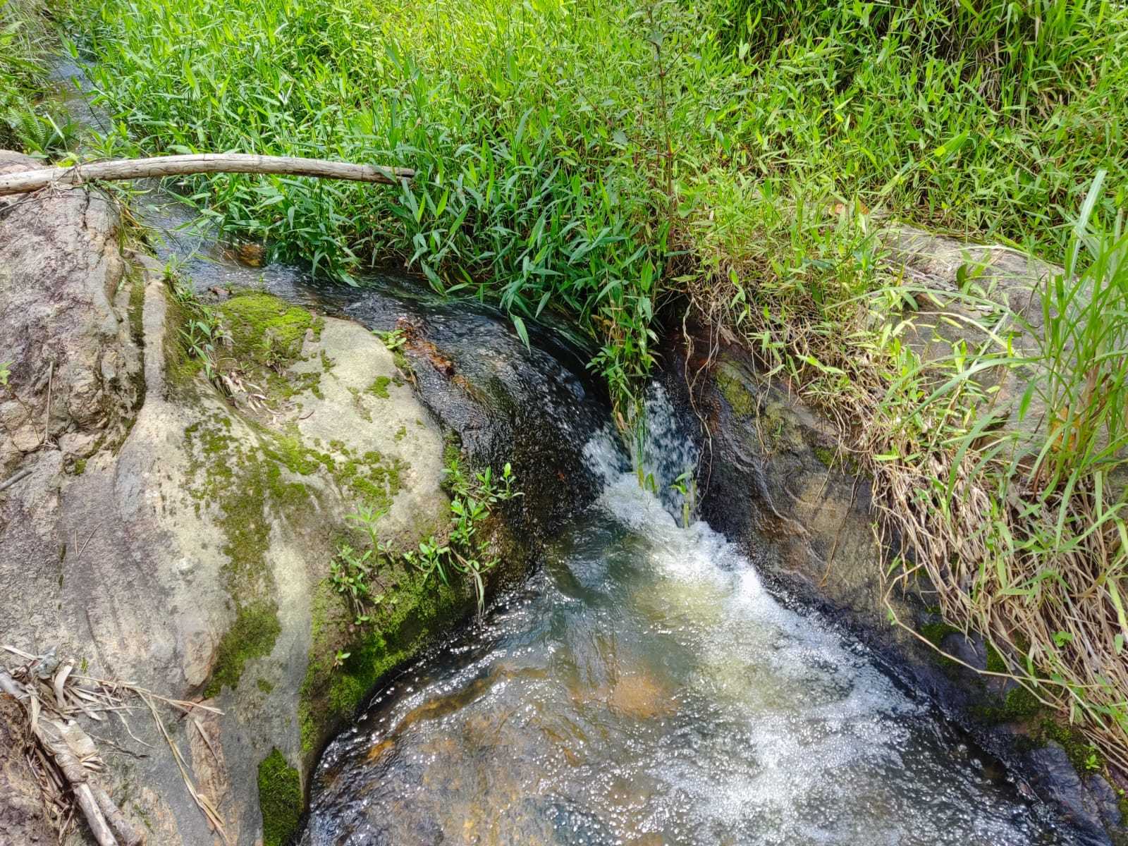 Chácara à venda com 1 quarto, 100000m² - Foto 8