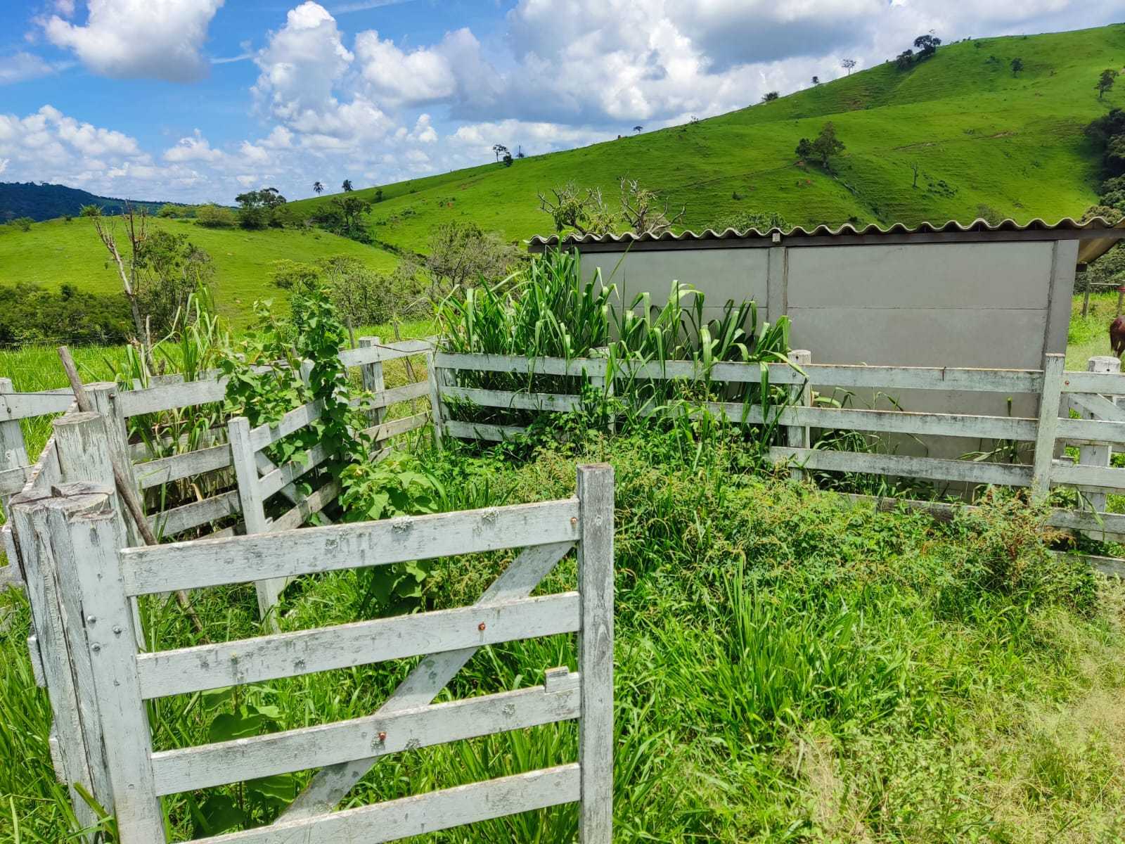 Chácara à venda com 1 quarto, 100000m² - Foto 6