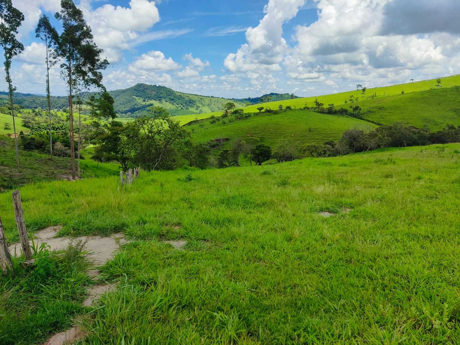 Chácara à venda com 1 quarto, 100000m² - Foto 3