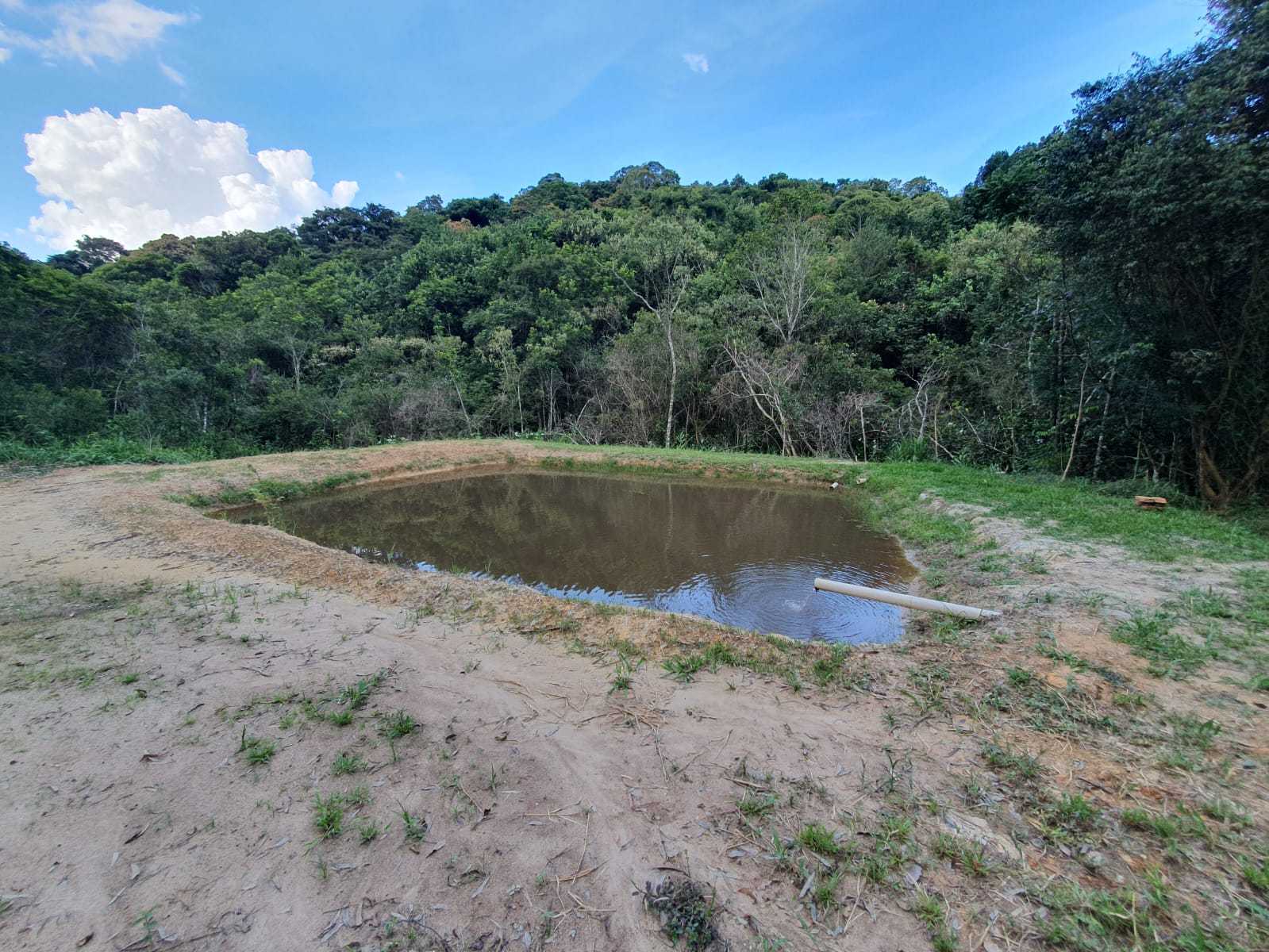 Chácara à venda com 1 quarto, 25000m² - Foto 11