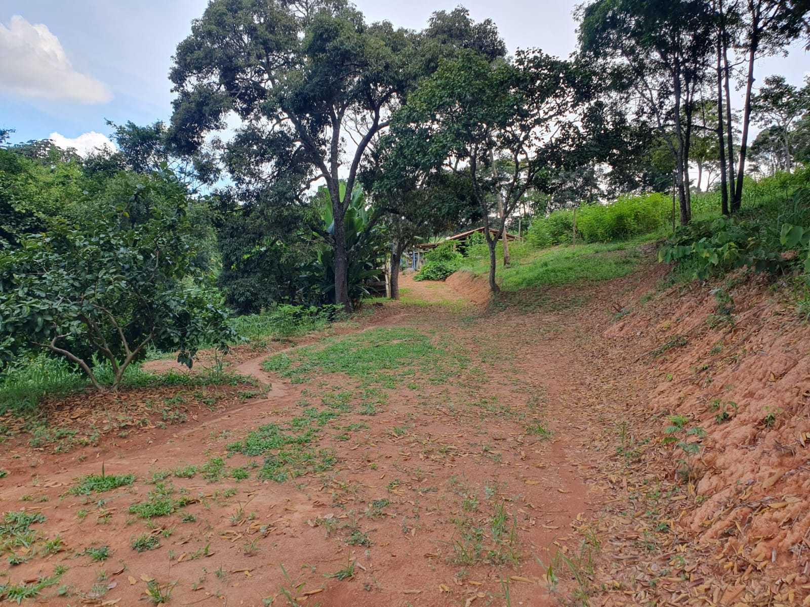 Chácara à venda com 1 quarto, 25000m² - Foto 8