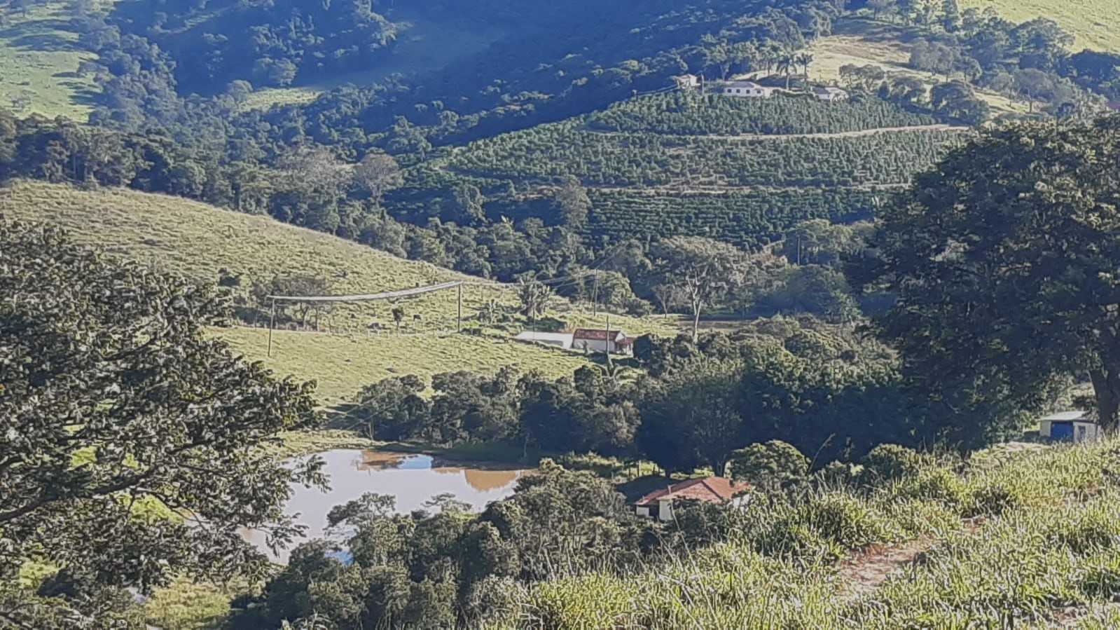 Chácara, 3 quartos, 10 hectares - Foto 4