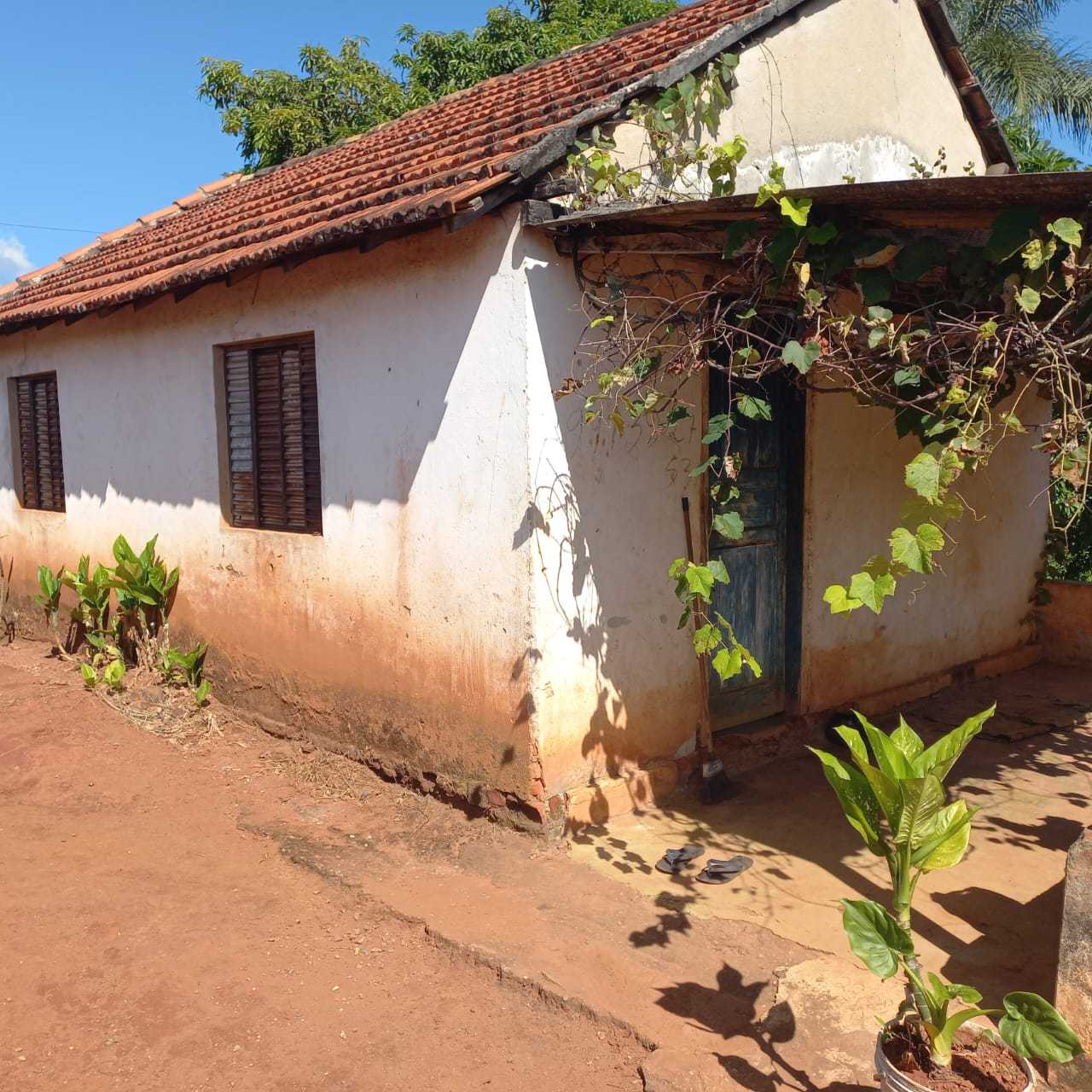 Chácara à venda com 1 quarto, 13000m² - Foto 22