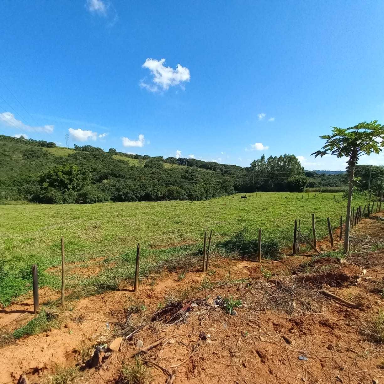 Chácara à venda com 1 quarto, 13000m² - Foto 12