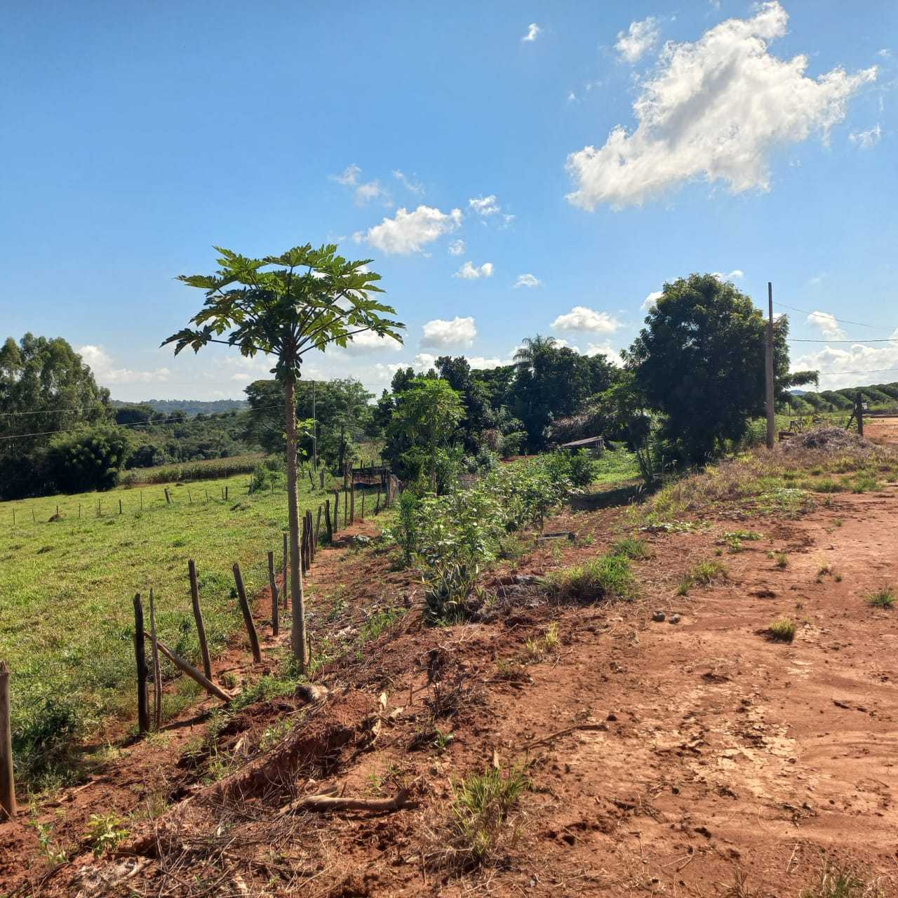 Chácara à venda com 1 quarto, 13000m² - Foto 7